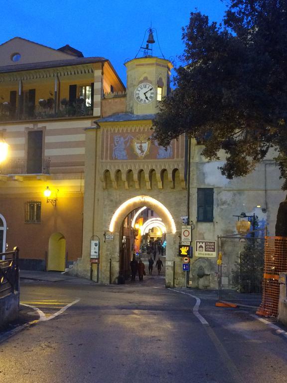 Koala Finale Ligure